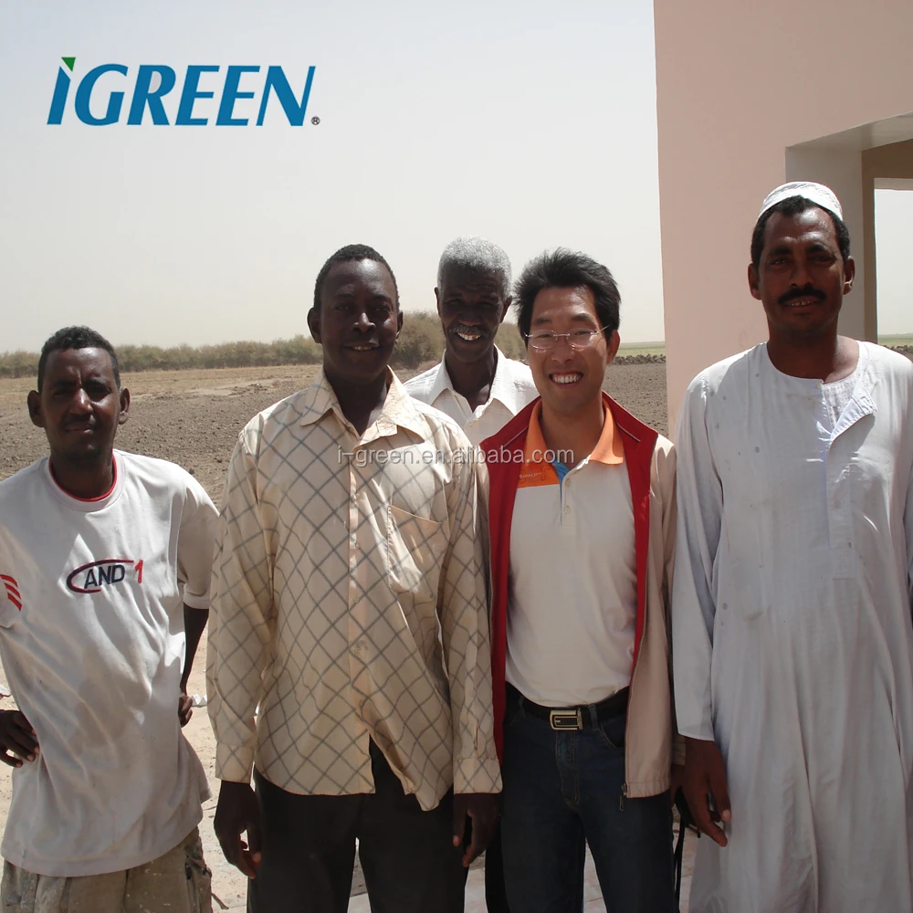 Economical hoop house agricultural modern greenhouse sale