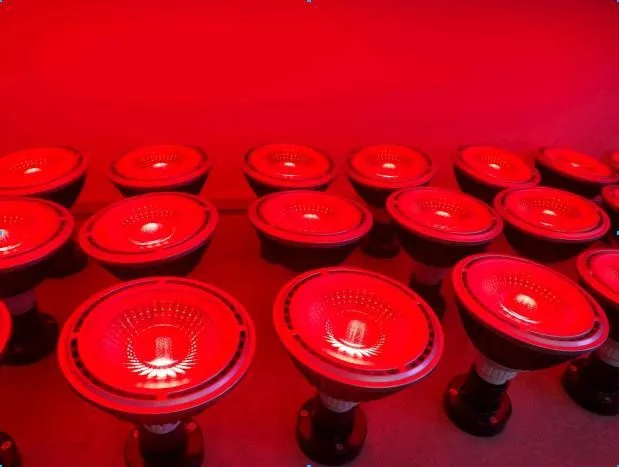 VANQ Wholesale far red light for indoor plant flowering E27 Par 38 18W