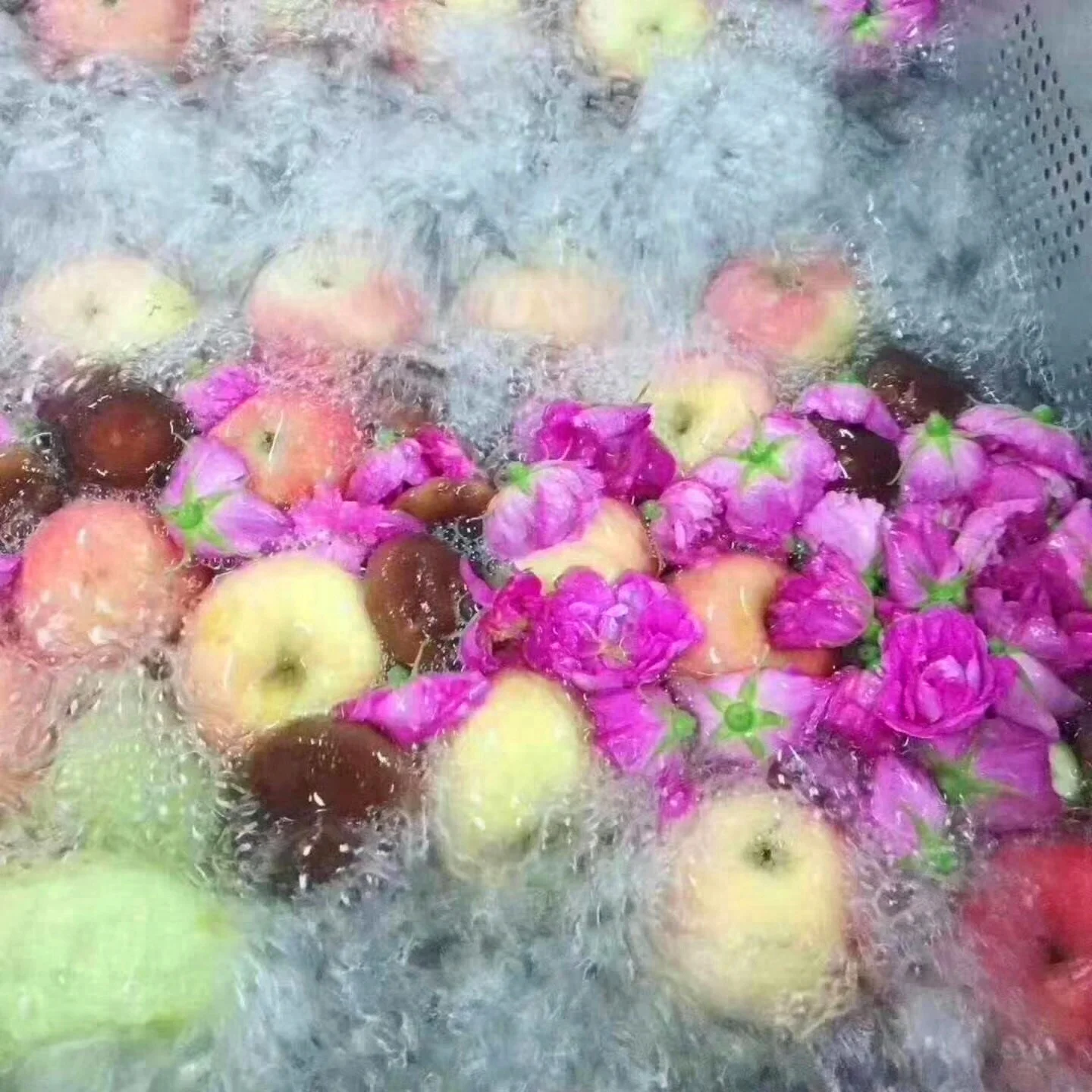 
Detox Fruit and Vegetable Enzyme Drink Fermented Rose Fruit Juice Enzymes 