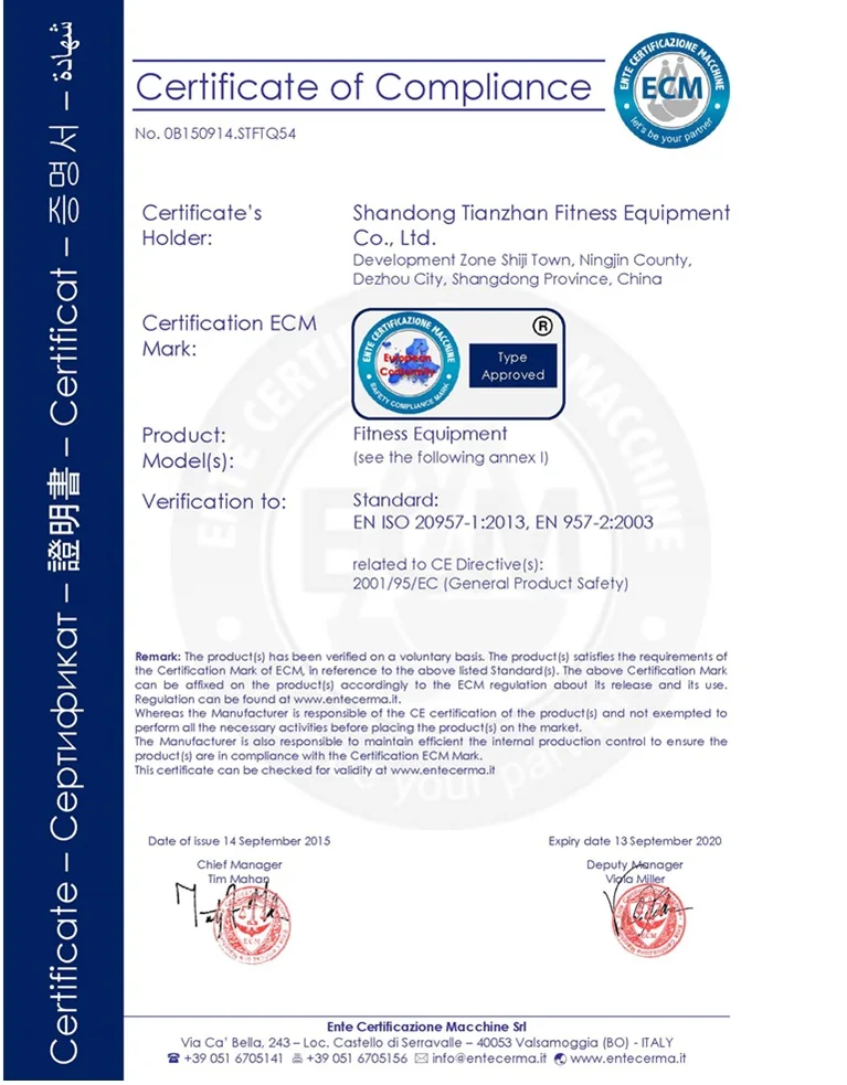 New design Dumbbell rack/Vertical dumbbell rack TZ-3006