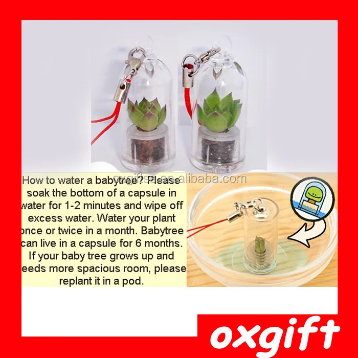 OXGIFT Wholesale custom cactus Plants cell mobile phone strap