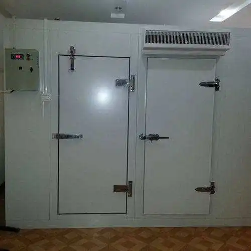 
Vegetable And Fruit CA Cold Storage room Air Conditioner Container Cold Room 