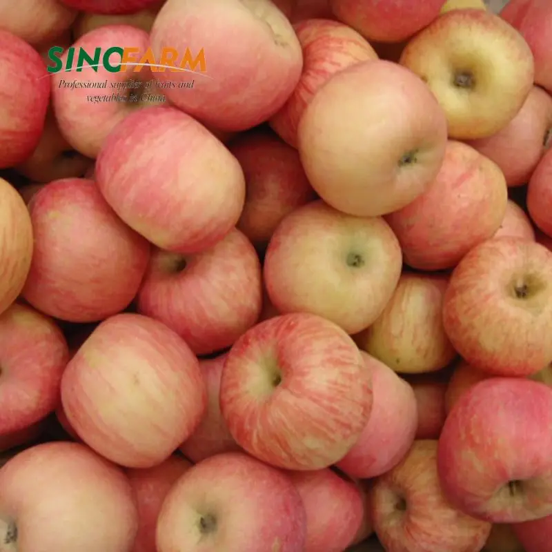 Big Size Grade A Chinese Red Fuji Apples