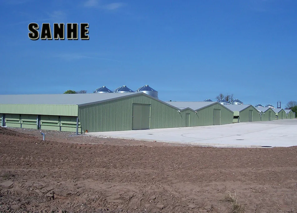 Automatic Broiler House Poultry Shed Design for chicken farm