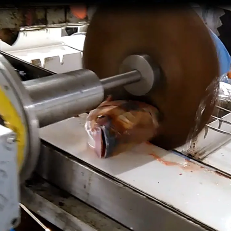 Automatic fish gutting head removing machine