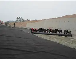 1.50mm HDPE smooth black color Geomembrane dam liner