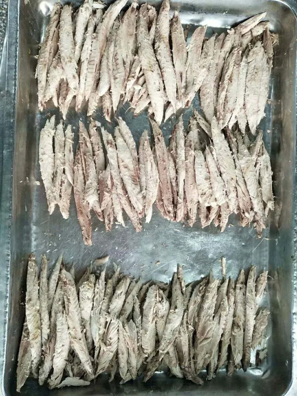 Precooked Auxis Thazard frozen Bonito Tuna Loins and Flakes