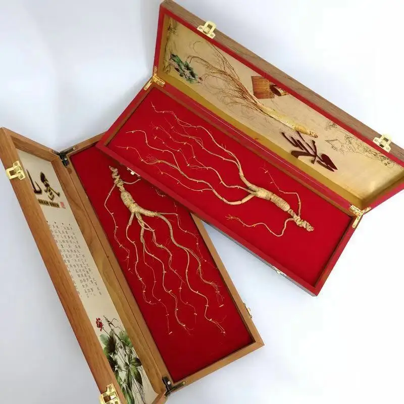 
Free Sample Changbaishan Ginseng Distributors Organic Panax Ginseng 