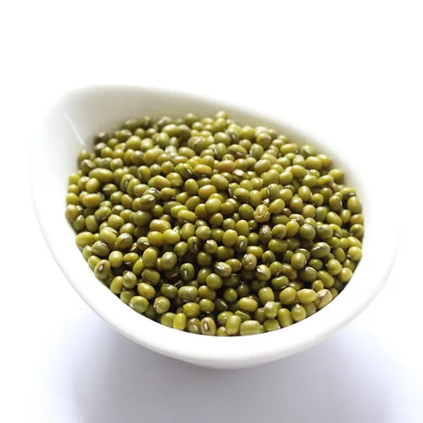 High Germination Rate Common Cultivation Sprouting Green Mung Beans