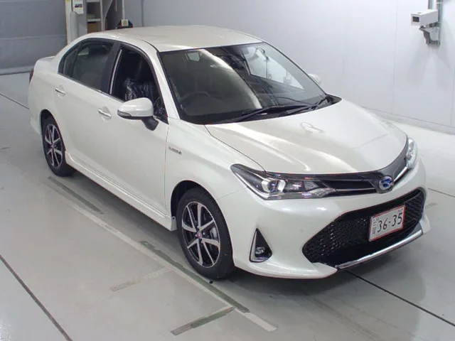 Manufacturer In China Auto Accessories Parts For Toyota Axio 2018 ON Fog Light