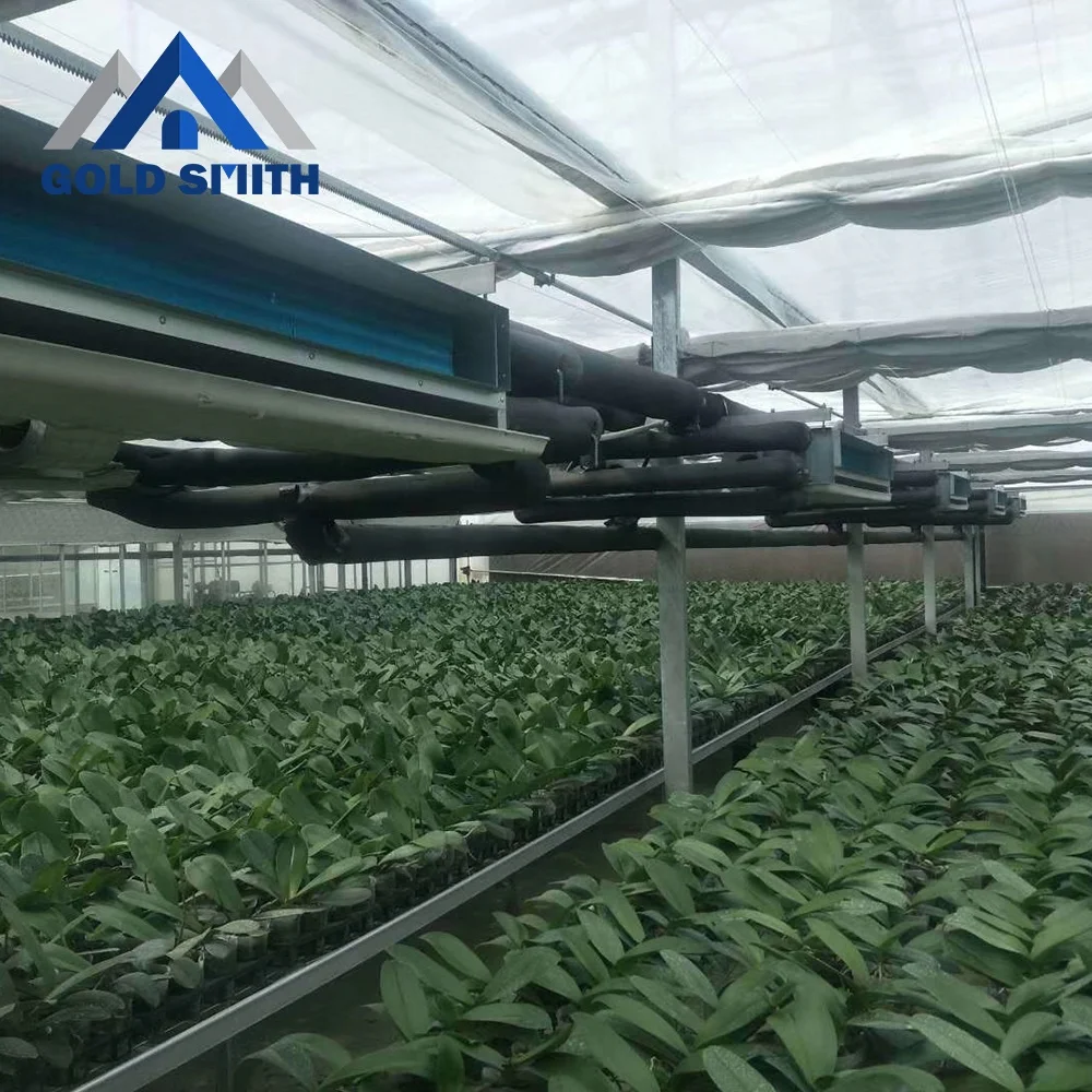 Commercial Vegetable Steel Tube Greenhouse with One Stop Buying Service