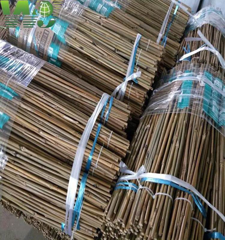 Wy-083 Nature Dry Straight Rattan Bamboo canes for sale