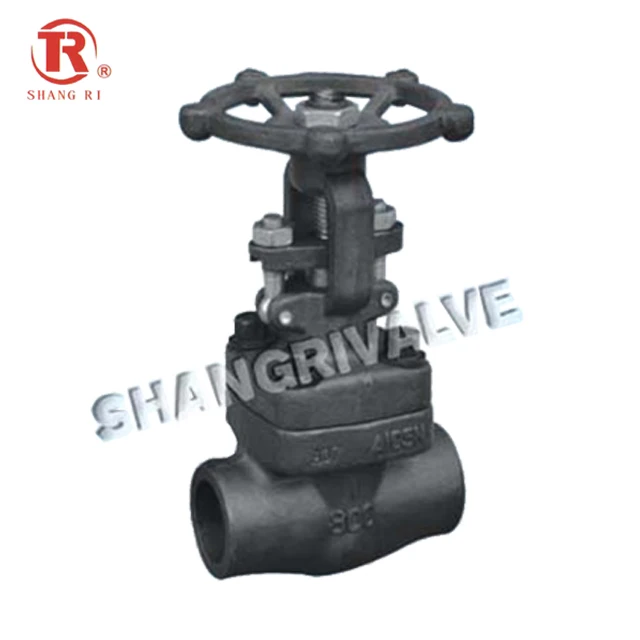 
API CE Factory Hot Sale High Pressure Socket Welded Threaded Forged Gate Valve 