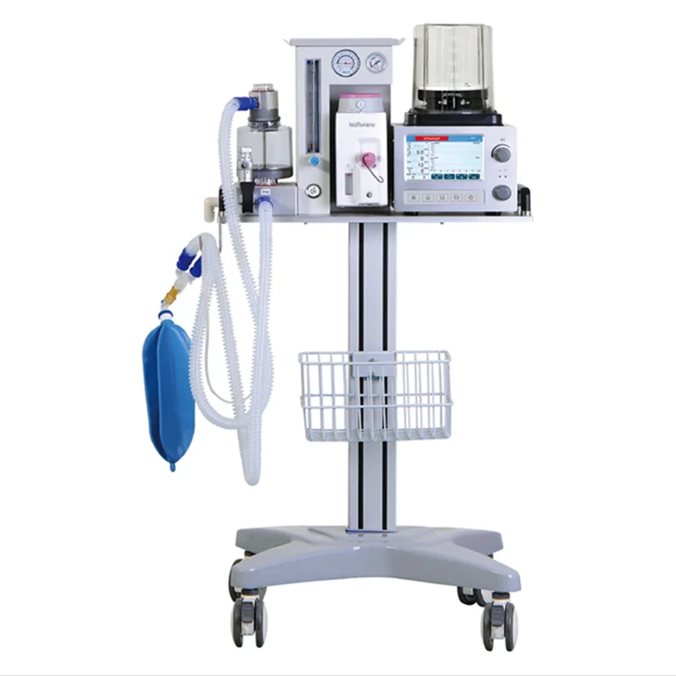 Vet Veterinary Anesthesia Machine DM6B Ventilator with 7 inch Screen Use for Dogs Cats and Big Animals