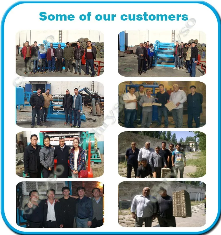 Древесины целлюлозно литье яйцо лоток машины фруктов лоток производственной линии