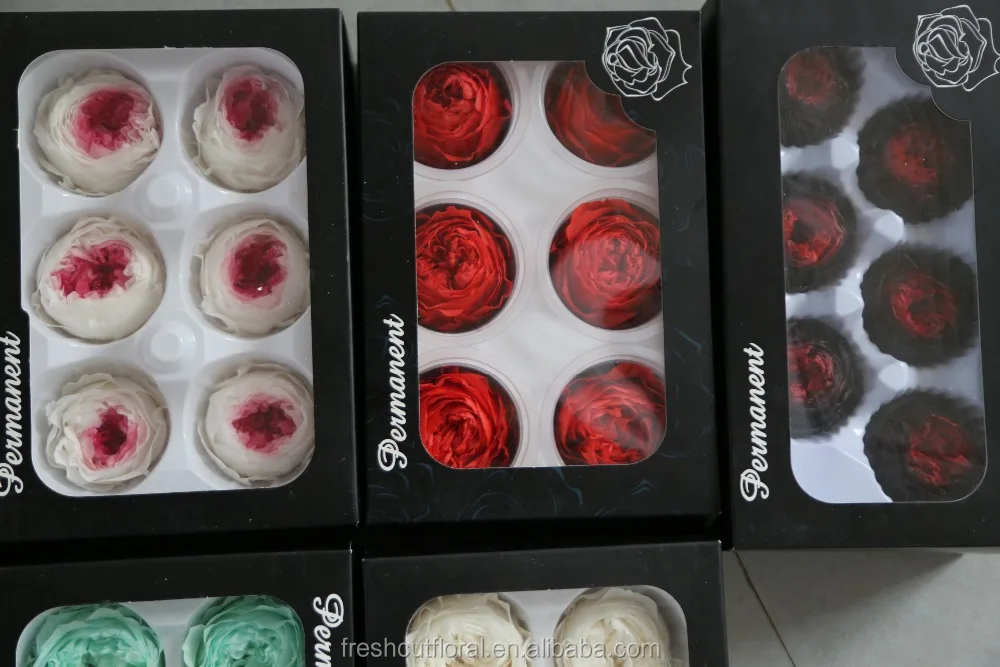 Promotion preserved austin roses stabilized austin rose at discount