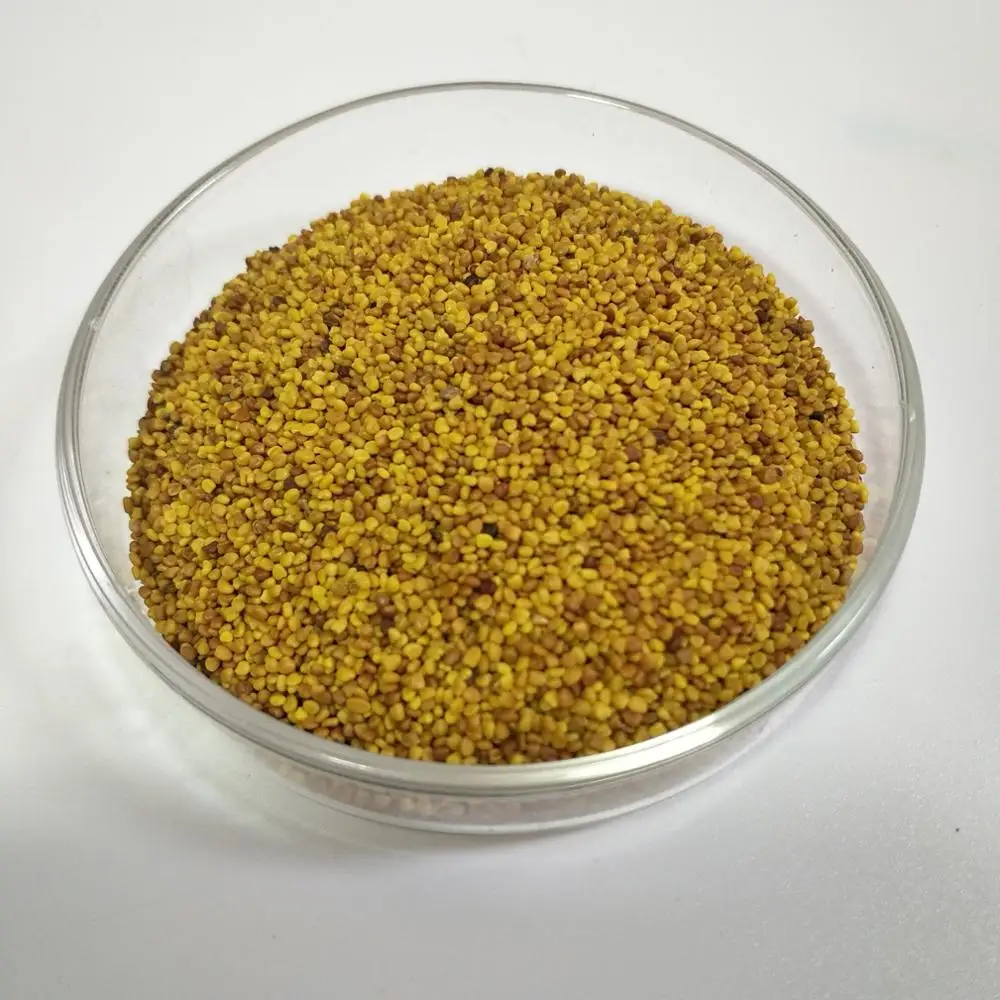 2021 top quality carpetgrass seeds used as lawn and turf grass