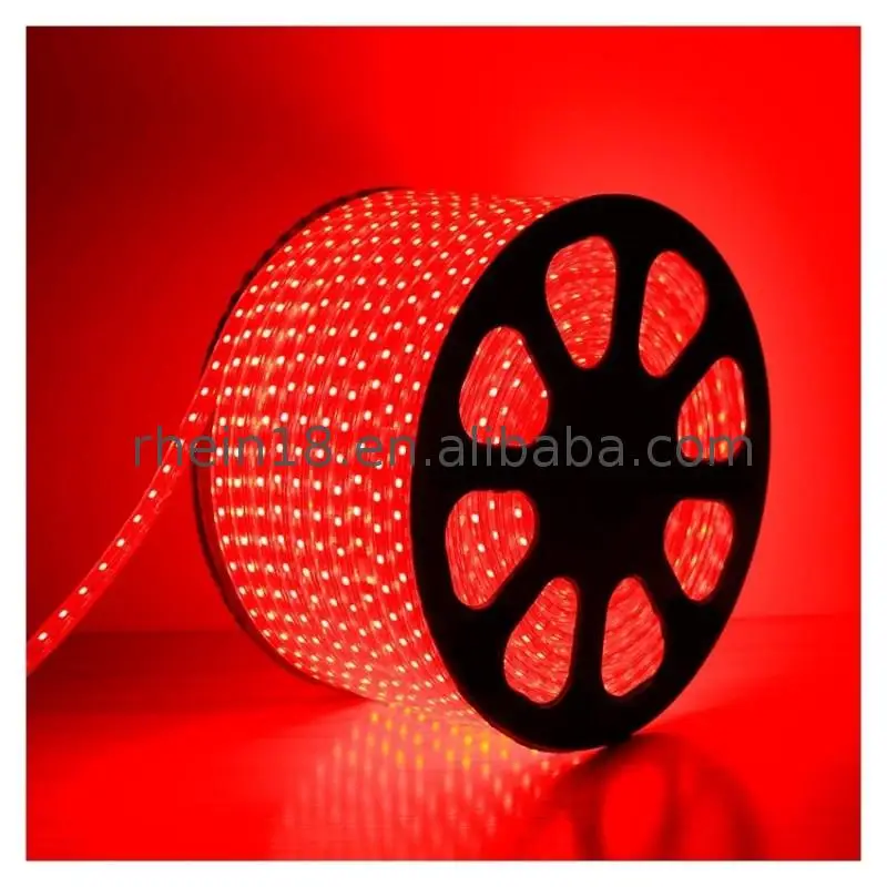 
Rhein AC110v 230V led strip reel ac 110-240v 5050 5m smd 