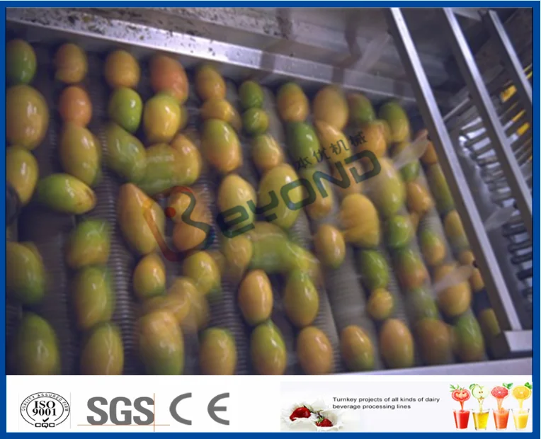 Mango processing plant