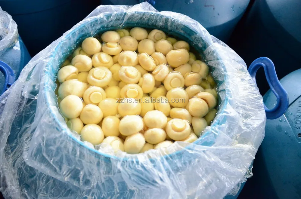 
champignon mushroom in drum 50kg 