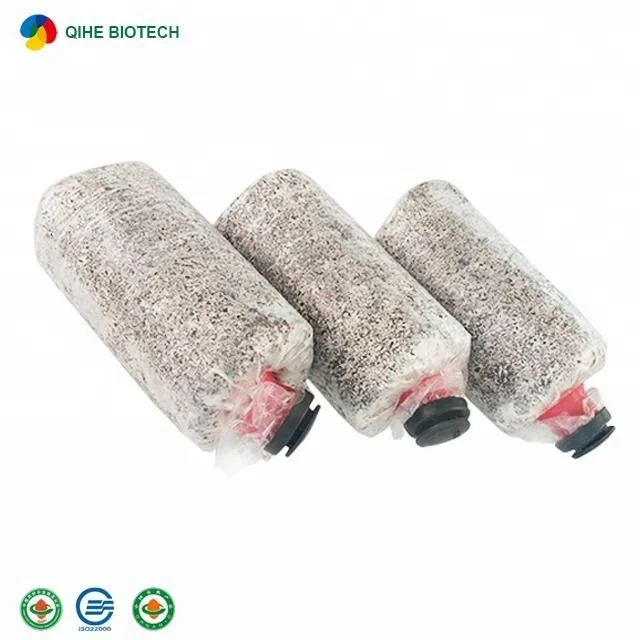 EXW price of Oyster mushroom sawdust spawn bag mushroom growing  kit wholesale