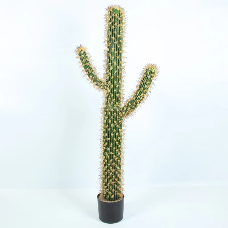 Supplier Artificial potted Decorative plants outdoor simulation cactus