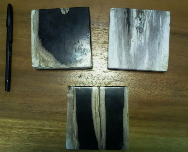 Natural Round Petrified Wood Glass Coasters