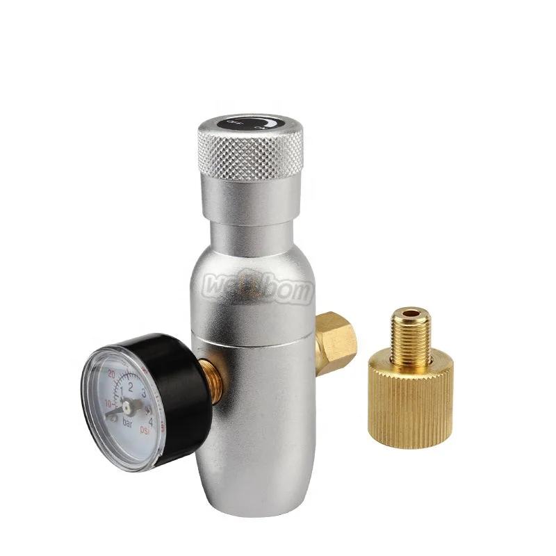 Bar Home Brew Stainless Steel Portable 2 L 5 Liter 10 L Draft Mini Beer Kegs dispenser