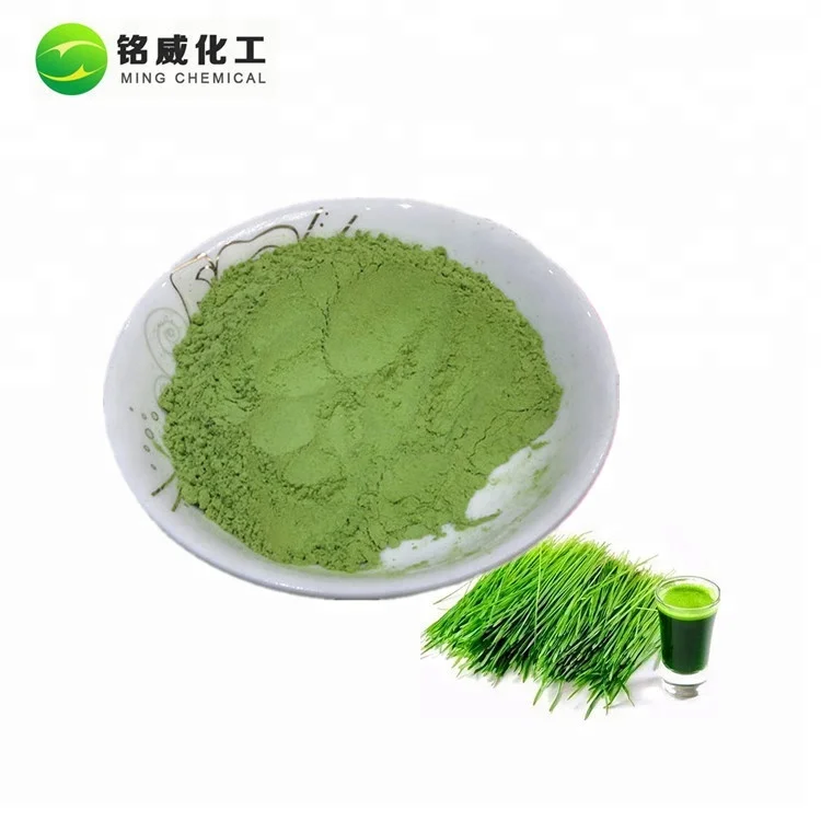 Best Price Green Organic Bio Wheatgrass Juice Powder