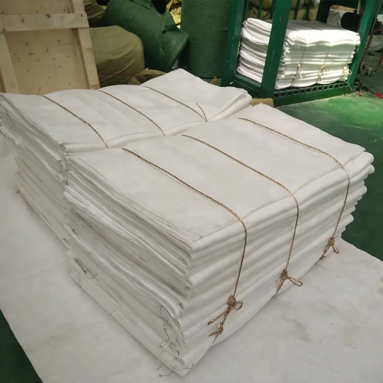 Geobag для защиты берега от