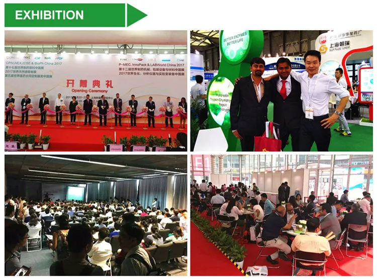 Заводская поставка оптовые добавки органический экстракт L-теанина лучший порошок оптовая продажа CAS 3081-6