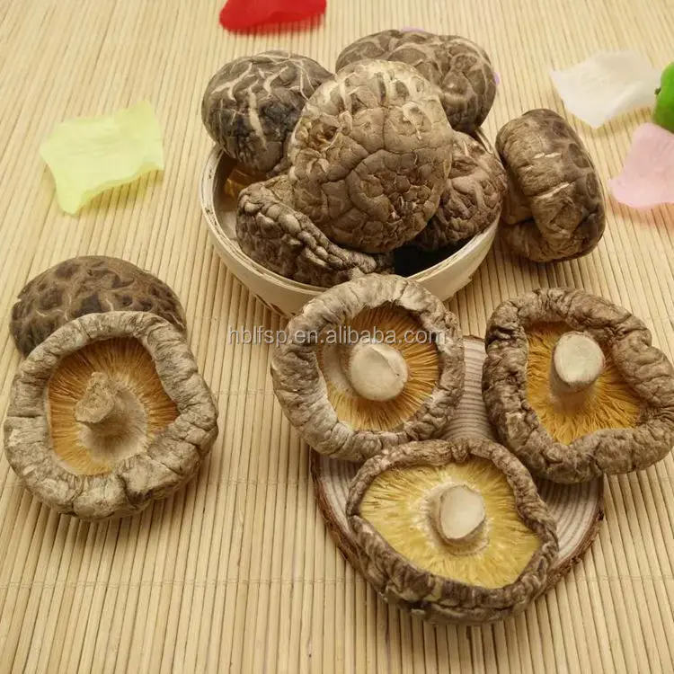 
Dried Tea Flower Shiitake Mushroom Whole 