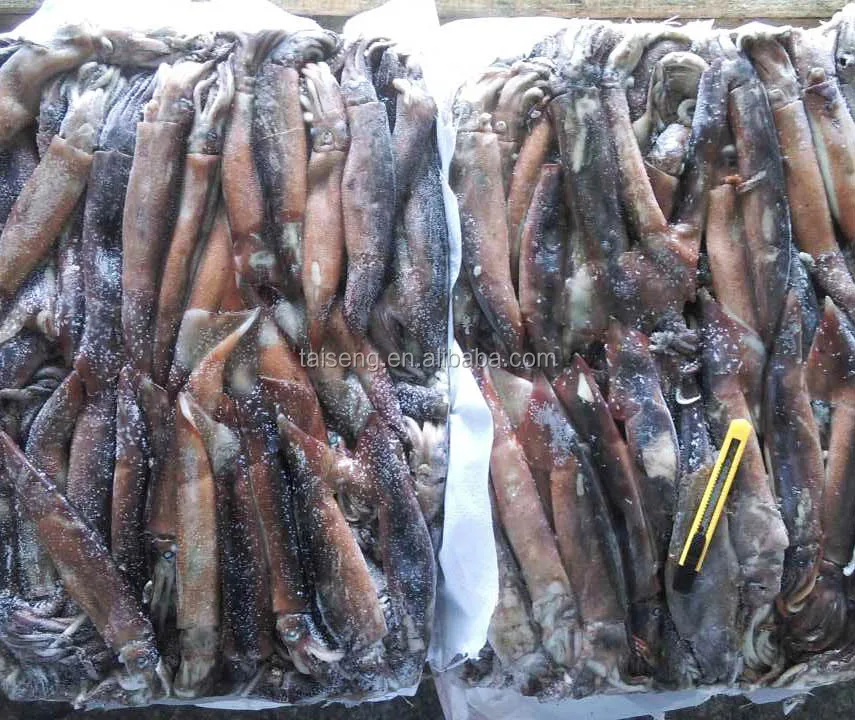 Frozen Illex Squid Under 100g