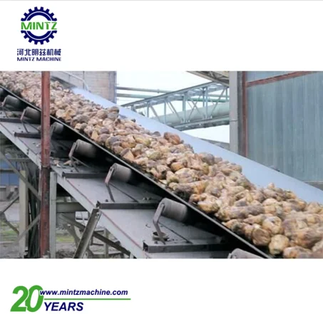 
new advanced sugar syrup clarification and decolorized processing line machine 