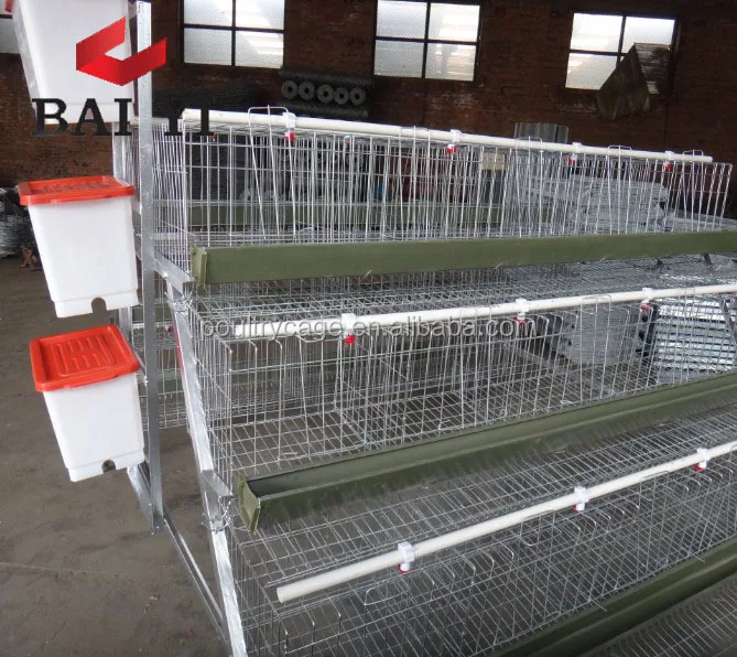 Wholesale Design UAE Chicken Farm Poultry Equipment For Sale