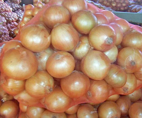 
Fresh yellow onion 