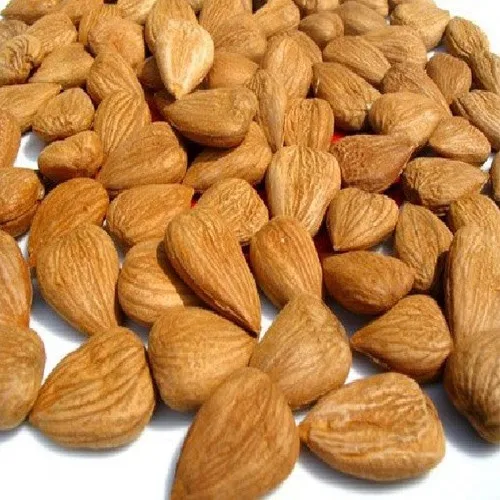 apricot kernel apicot seeds for sale bitter apricot seeds for sale good health