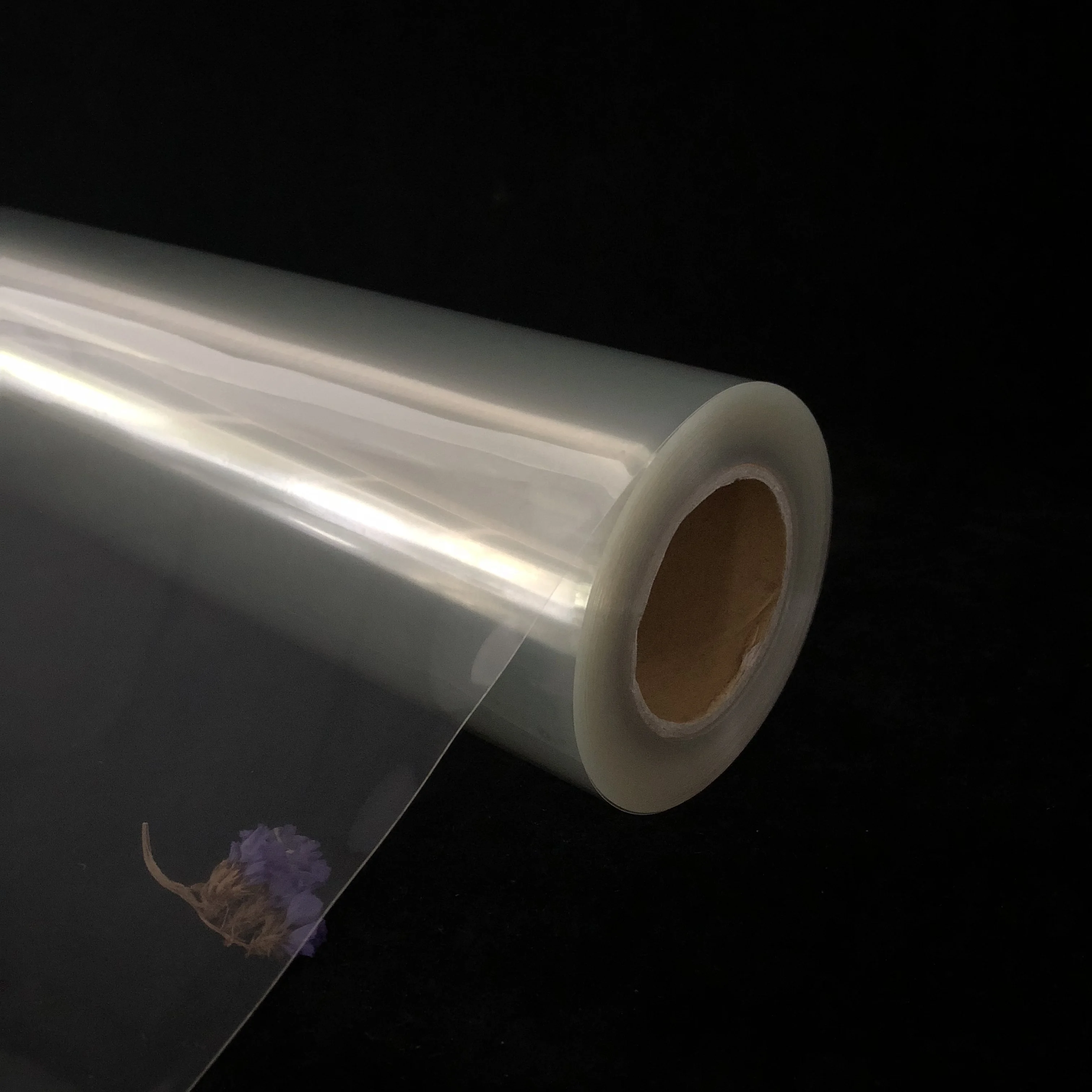 Clear Transparent  Waterproof Inkjet Digital Printer Screen Printing Film for Eco-solvent Ink