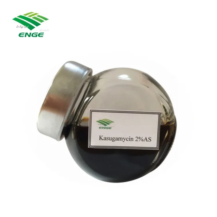 Fungicide Chemicals agriculture Kasugamycin 70%TC