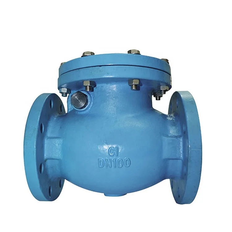 DN50-DN600mm material EN-GJL-250 BS F6 check valve