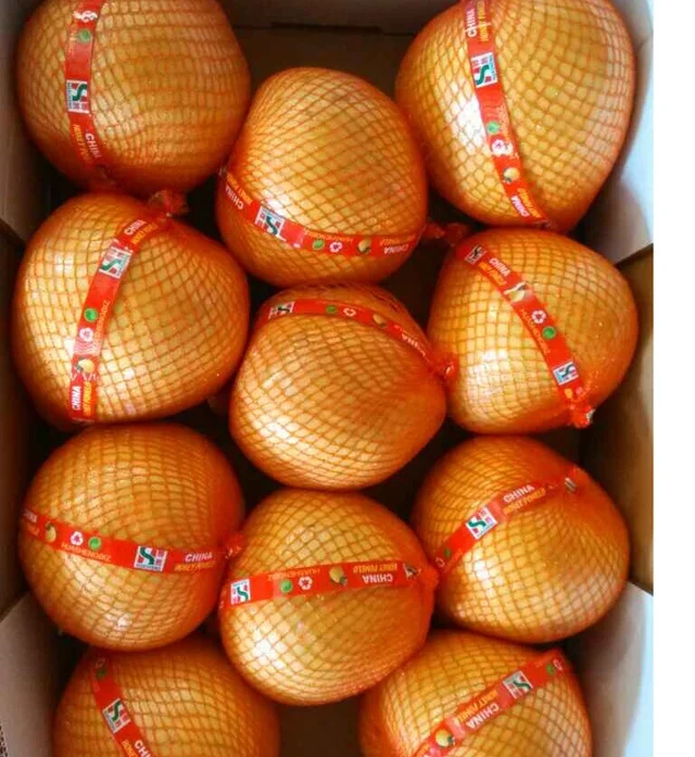 Chinese Fresh Delicious Tropical Fruit Pomelo