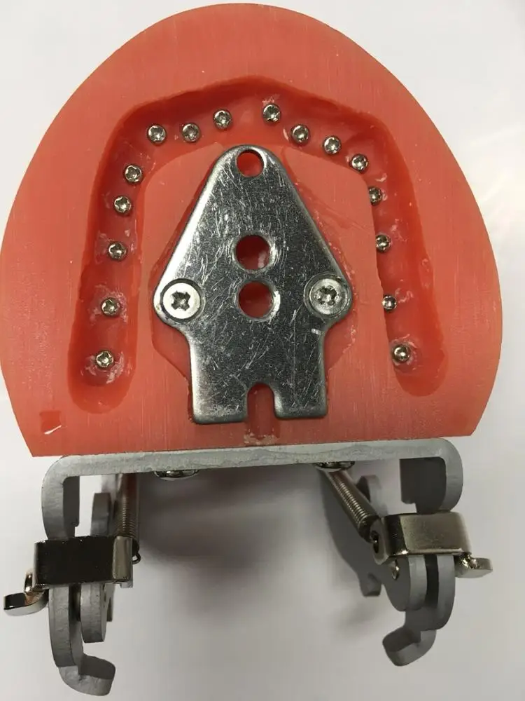 replacement teeth typodont model for student practice nissin teeth 32*1