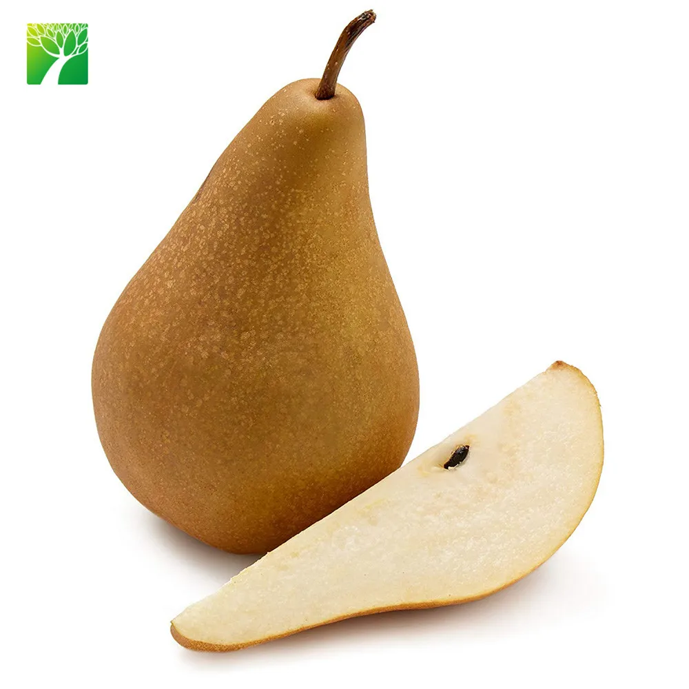 
Full sun white bloom color live fruit seedling plant BOSC pear 