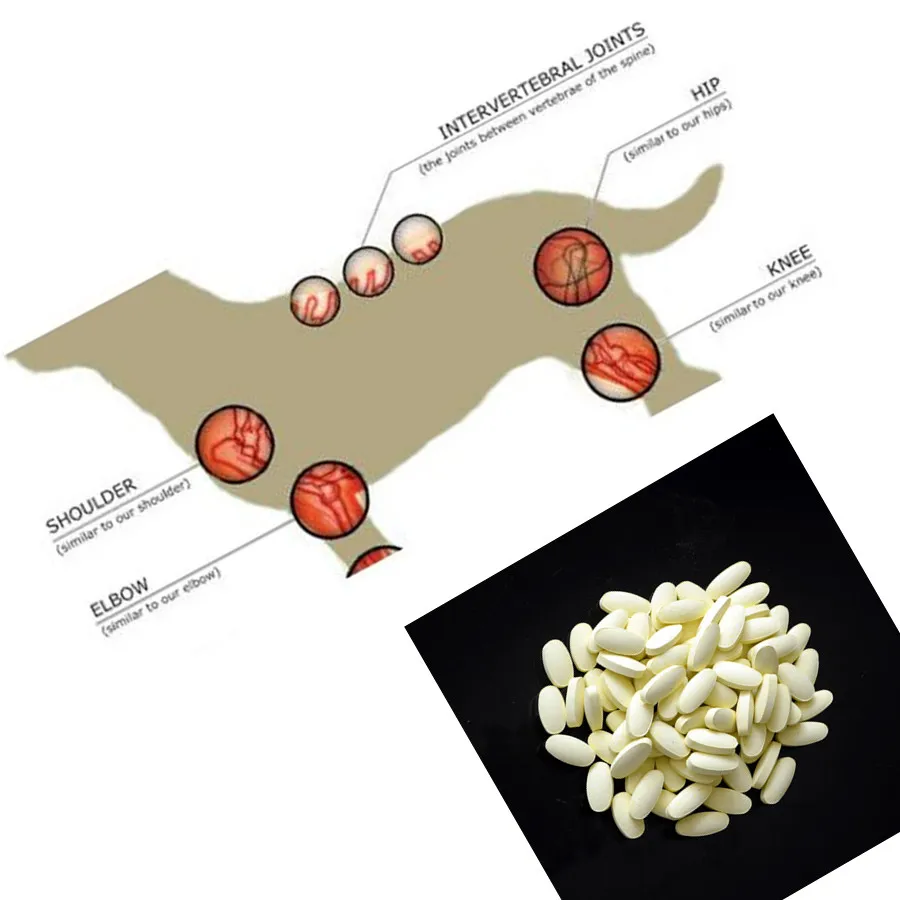
GMP Pet Glucosamine Chondroitin MSM For Dog Food 