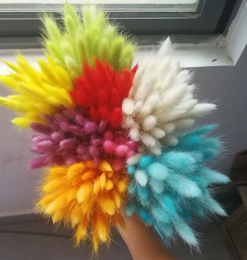 Dried flower bouquet colorful preserved lagurus flower as bridal bouquet