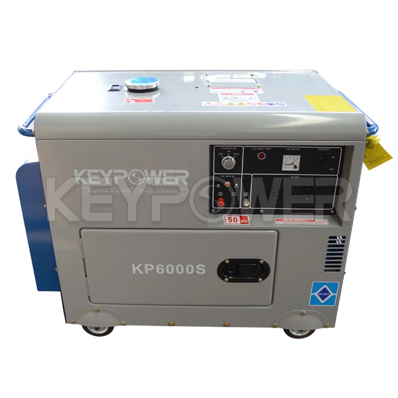 Professional User-Design Flexible 6kw Insulating Paint Hotel Gasoline Generator Parts