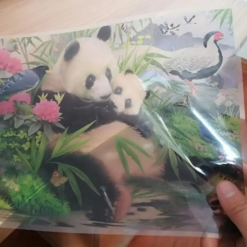 Laser Clear Film for positive screen printing a3 transparent pet film for laser printer