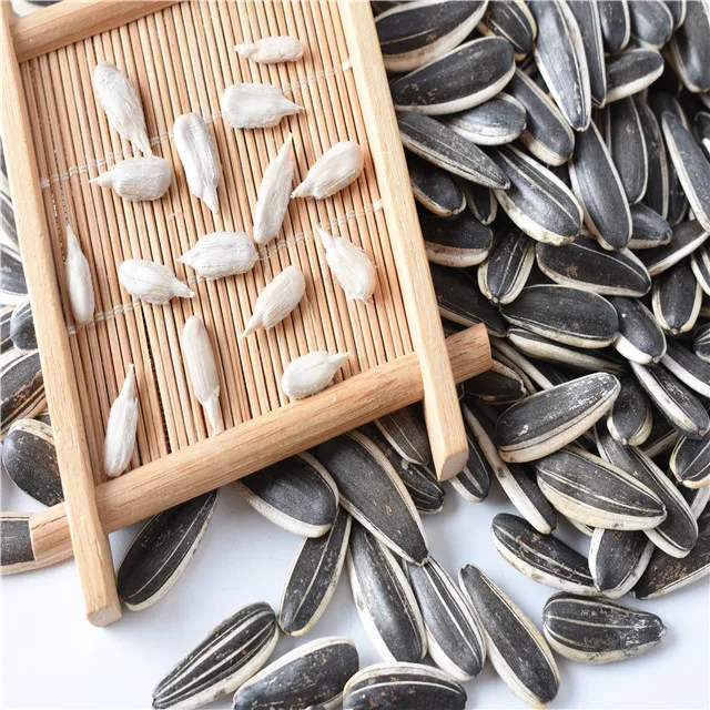 high quality hot sale cheap sunflower seeds for  Human consumption At Best Price