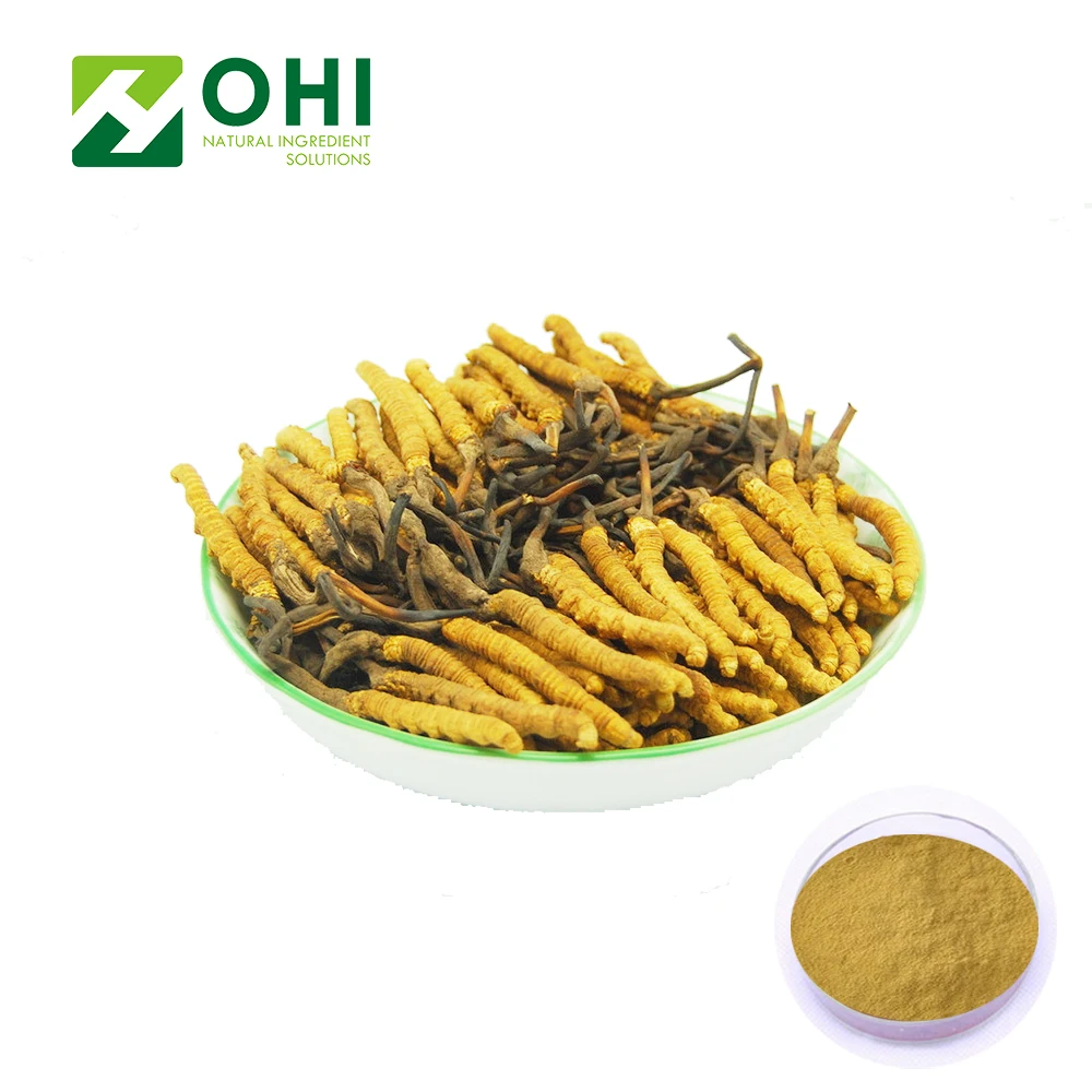 UV-VIS 20% 40% 50% Polysacharides Cordyceps Sinensis Extract GMP certificated factory Mycelium extract