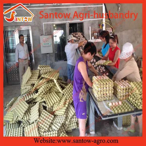 wholesale live birds trap cage on sale